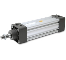P1D-X125MF-0120   ISO cylinder, diameter 125/hub 120