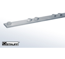 RAP 2/44/10 M W1  Reihenanschweissplatte, Standard-Baureihe