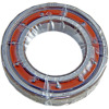 6004.TB.P53