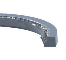 120,65X158,75X12,7 mm, Modell 23  Wellendichtring, Klozure, geteilt, Silikon