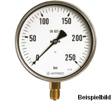 85319401  Rohrfeder-Industriemanometer, RF100 I D401, LB100-U/60