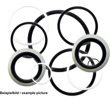 SK430V   sealing set, Viton, 4CK30