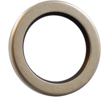 100X120X12 B2PT10   Simmerring, PTFE 10/F56101