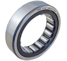 RNU202-E-XL-TVP2   cylindrical roller bearing