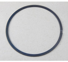 FK 6-ISD 69.00/2.80X1.65 C75   lamellar ring, piece