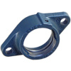 GEHCJT04-GG-N   flange bearing housing, oval