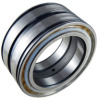SL045004-PP