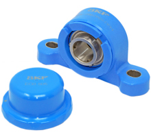 P2BC 25M-CPSS-DFH   two-hole-pillow block unit, Blue-Line