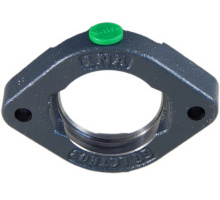 GEHGLCTE07-GG   flange bearing housing, oval