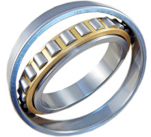 N1010-K-M1-SP   cylindrical roller bearing, tapered hole