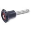 GN 113.6-10-30   ball lock pin, stainless steel