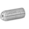 GN 605-M6-25-BN   ball tensioning screw