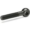 GN 1524-M16-160  Augenschraube