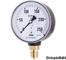 35019301  Kapselfeder-Manometer, KP63 D301, LB63-U/100 mbar