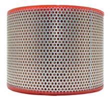 C21138/1  Filterelement, Luftfilter