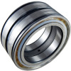 SL045008-PP