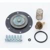 20AG-X4-100  Reparatursatz