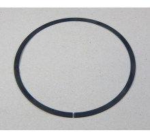 FK 3-IS 125.00/5.00X0.98 C75  Lamellenring, Stück