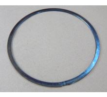 FK 5-ISD 140.00/151.00X1.96 1.4571  Lamellenring, Stück
