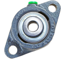 RCJTY60-XL-N-I  Flanschlagereinheit, oval