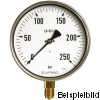 85366401  Rohrfeder-Industriemanometer, RF160 I D401, LB160-U/16