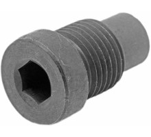 SH 10X135  Loslagerschraube